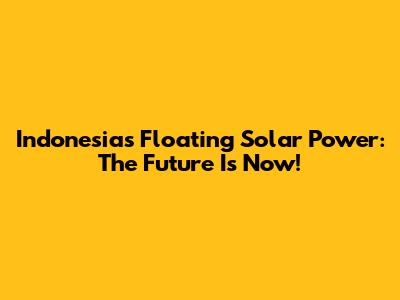 Indonesia's Floating Solar Power: The Future Is Now!